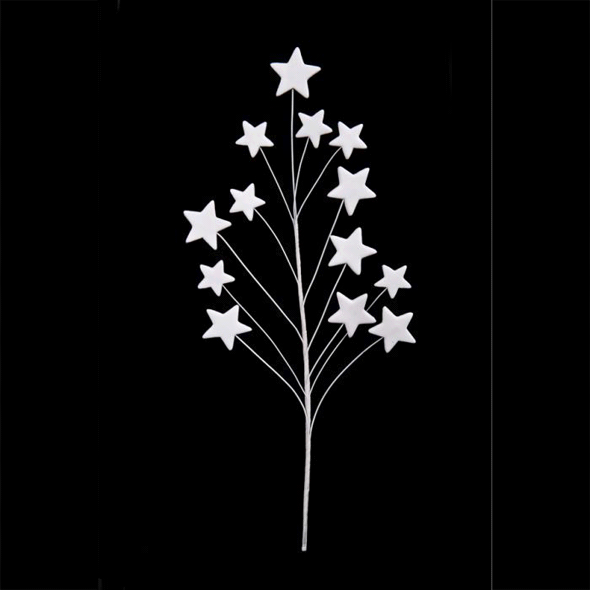 Bouquet stelline bianche. 