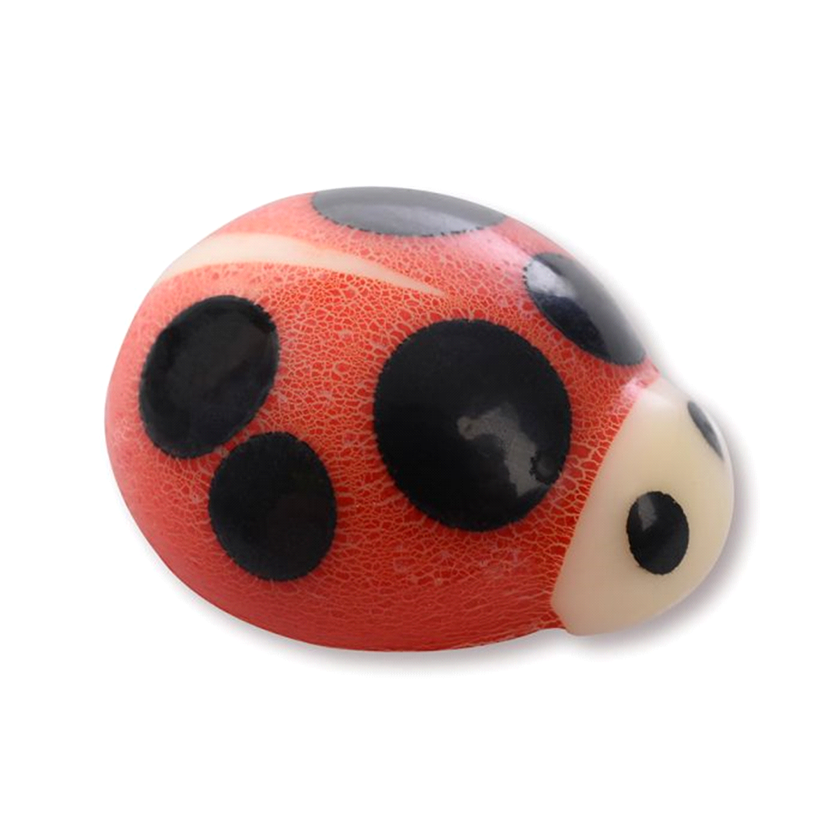 COCCINELLA CCB.CO 2 MOD.x100pz 