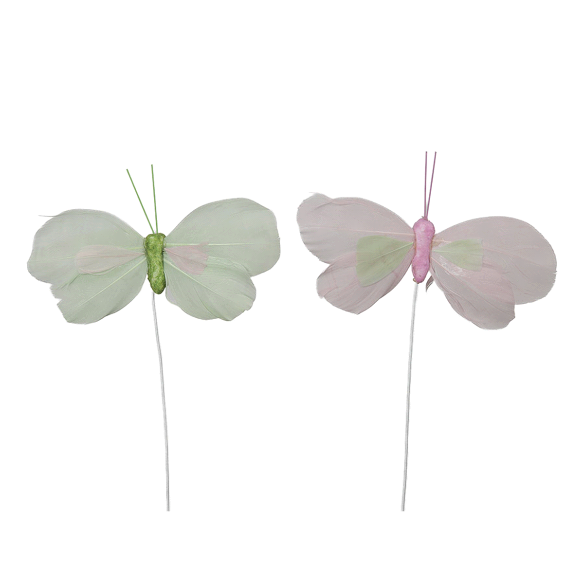 SET 24 PICK FARFALLE ROSA/VERDI 8cm 