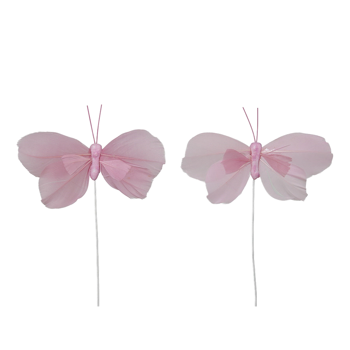 SET 24 PICK FARFALLE ROSA 8cm 