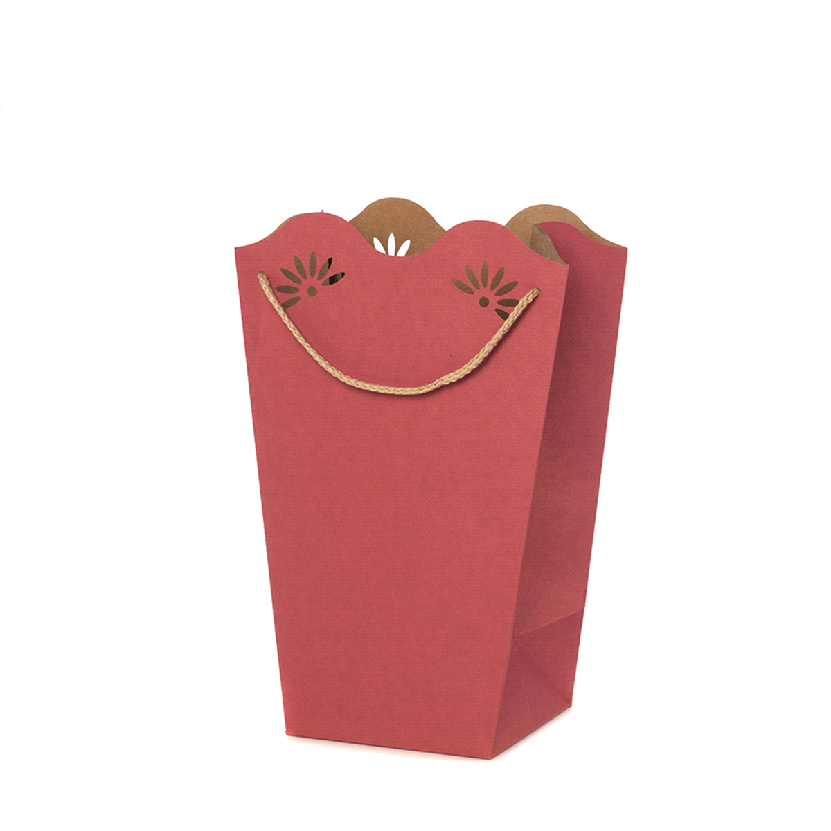 SHOPPERPOT DAISY CICLAMINO 24x35x12pz 